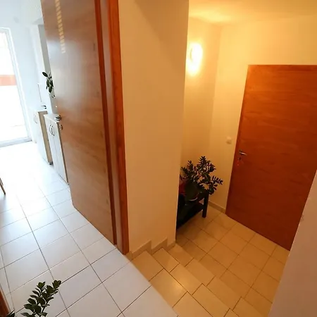 Antodo Apartment Novalja Exterior photo